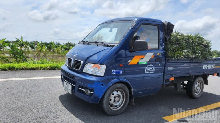 ndo_br_thiet-ke-chua-co-ten-4.png