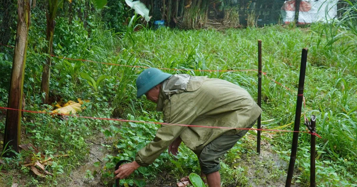 Quảng Trị: Xuất hiện hố sụt lún sâu 3m trong vườn nhà dân