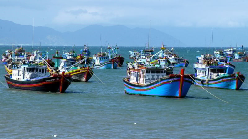 Vietnam intensifica la lucha contra la pesca INDNR, protege los derechos humanos y promueve la cultura nacional -0