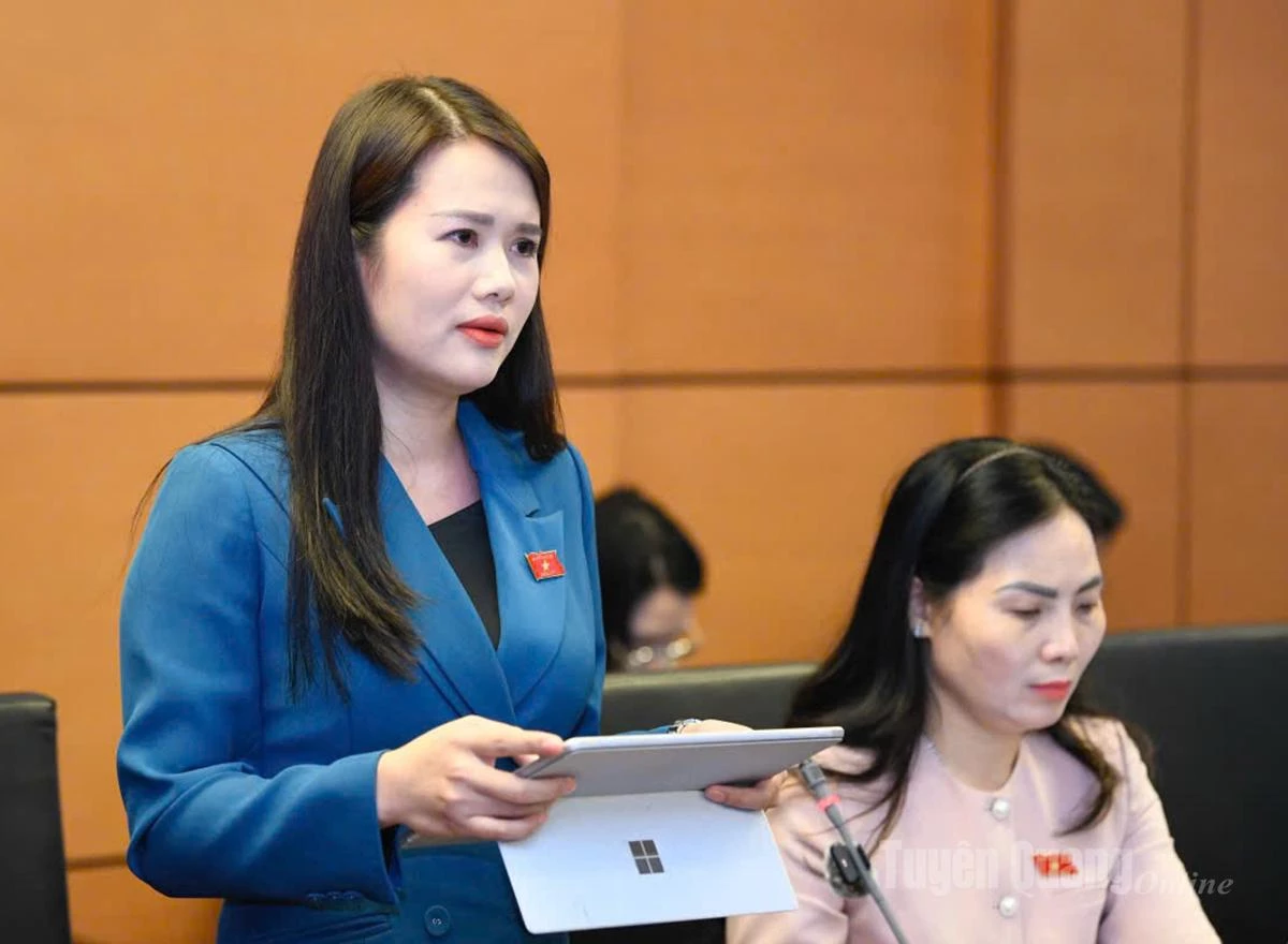 Afgevaardigde Vuong Thi Huong spreekt tijdens de discussie.