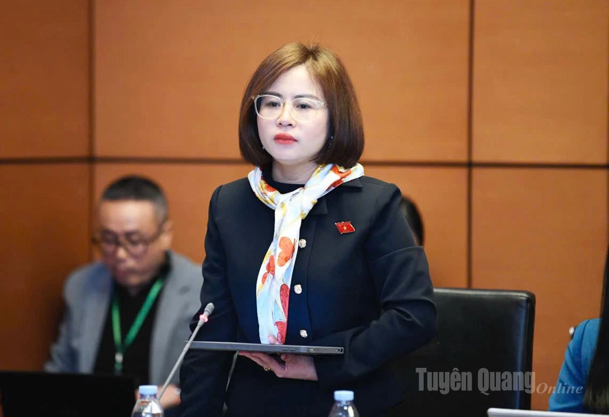 Afgevaardigde Nguyen Viet Ha spreekt tijdens de discussie.