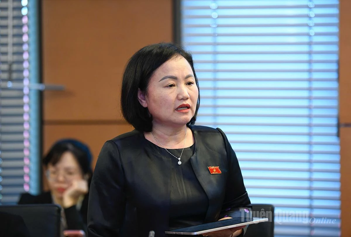 Afgevaardigde Pham Thuy Chinh voerde het woord tijdens de discussie.