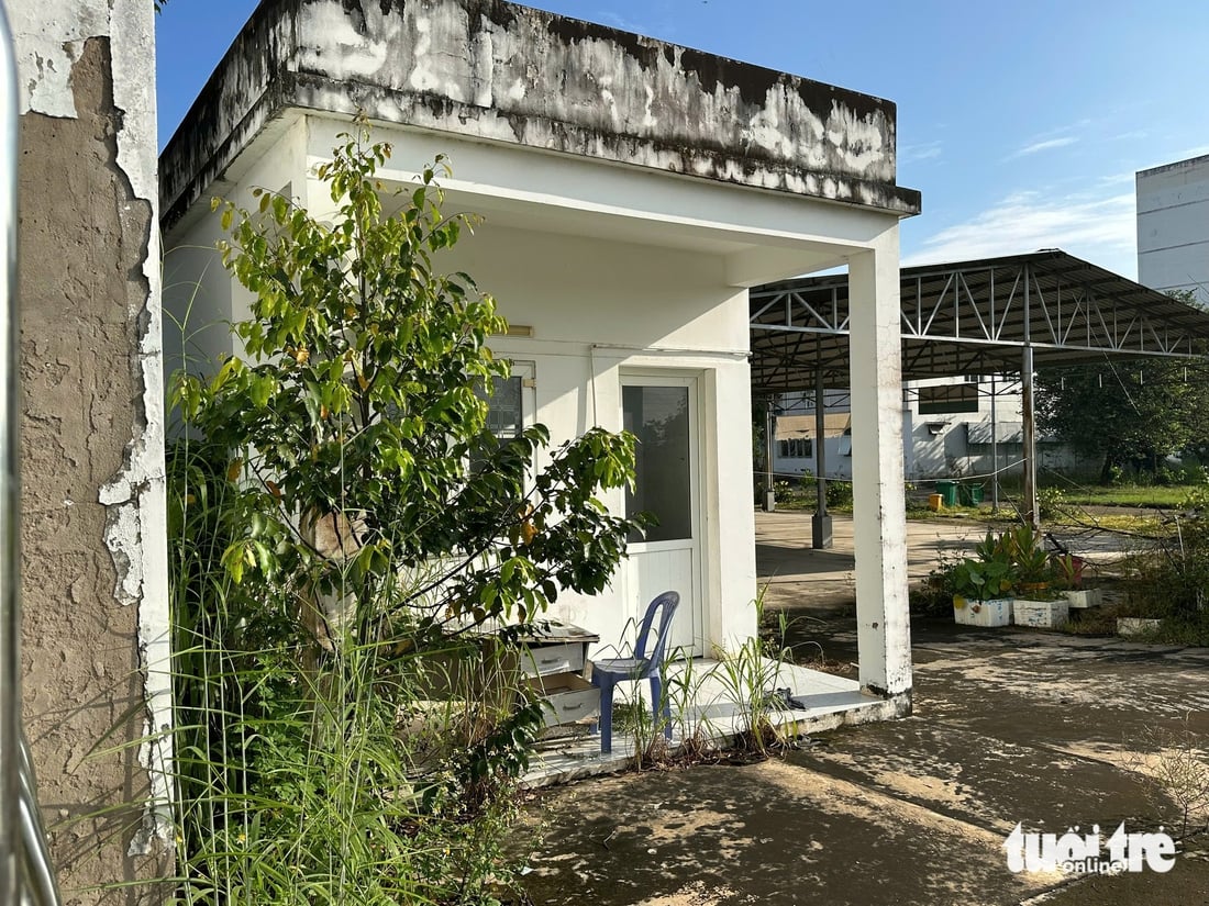 bệnh viện bỏ hoang - Ảnh 8.