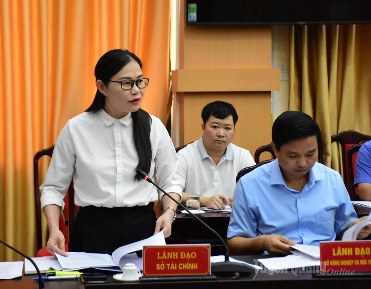 Lãnh đạo Sở Tài chính cho ý kiến vào phương án hỗ trợ.