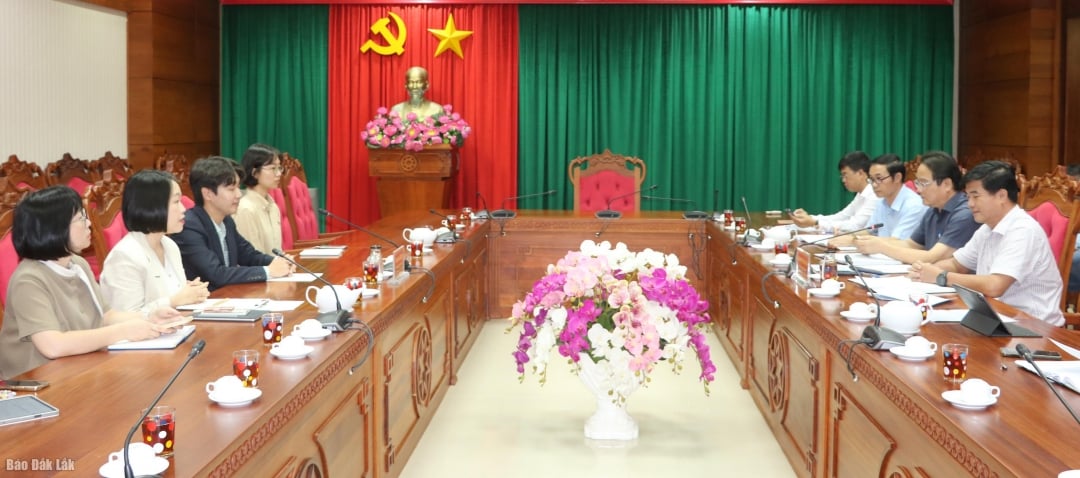 En arbetsdelegation från kontoret för Koreas internationella samarbetsbyrå arbetade med ledarna för den provinsiella folkkommittén.