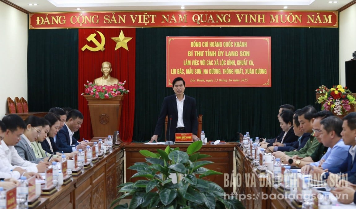 Genosse Hoang Quoc Khanh, Provinzparteisekretär, hielt bei der Arbeitssitzung eine Abschlussrede.