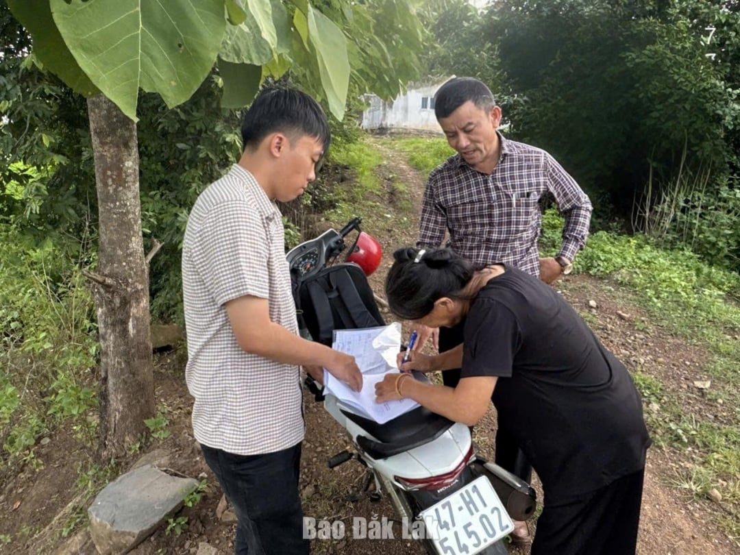 Zuvor hatte sich der Haushalt von Frau Hoang Thi Yen durch Propaganda und Mobilisierungsarbeit bereit erklärt, das Gelände dem Projektauftragnehmer zu übergeben.