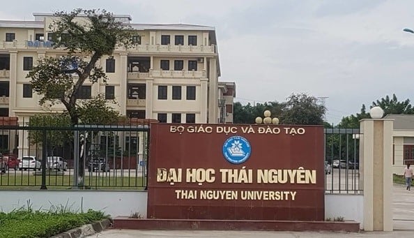 Sáp nhập Trường cao đẳng Y tế vào Trường đại học Y - Dược tại Thái Nguyên và Huế - Ảnh 1.
