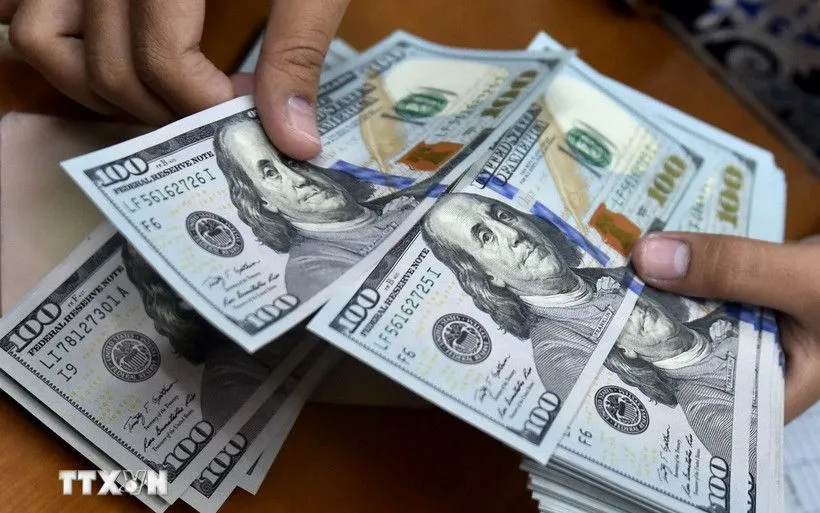 米ドル。(写真:AFP/VNA) Đồng USD. (Ảnh: AFP/TTXVN)