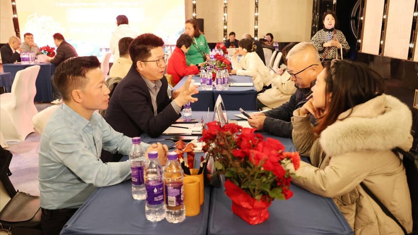 Program pengenalan pariwisata Vietnam di Tiongkok berlangsung dari 20-28 Oktober, menarik banyak pelaku usaha dari kedua negara untuk berpartisipasi. (Foto: VNA)