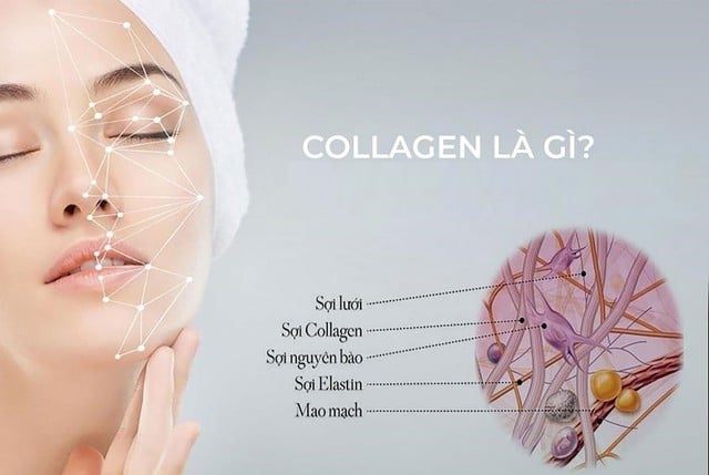 Tác dụng của collagen trong việc làm đẹp khiến phụ nữ 30+ ‘yêu’ hơn cả skincare high-end- Ảnh 2. Tác dụng của collagen trong việc làm đẹp khiến phụ nữ 30+ ‘yêu’ hơn cả skincare high-end- Ảnh 2.