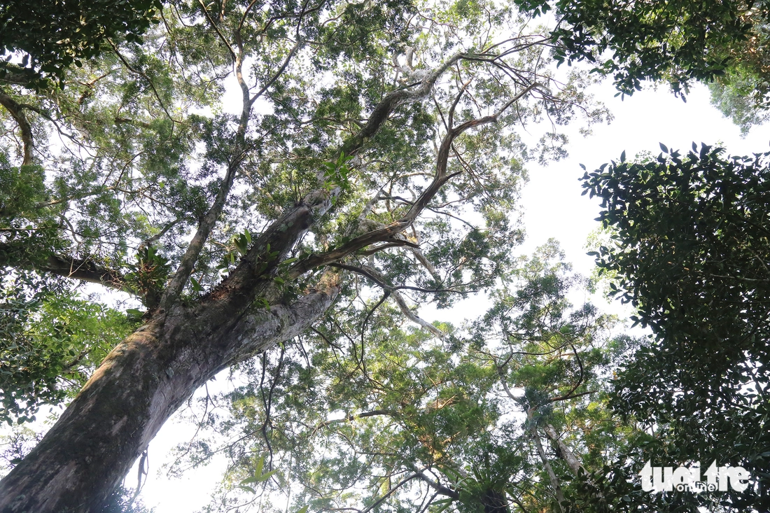 du lịch sinh thái - Ảnh 6.
