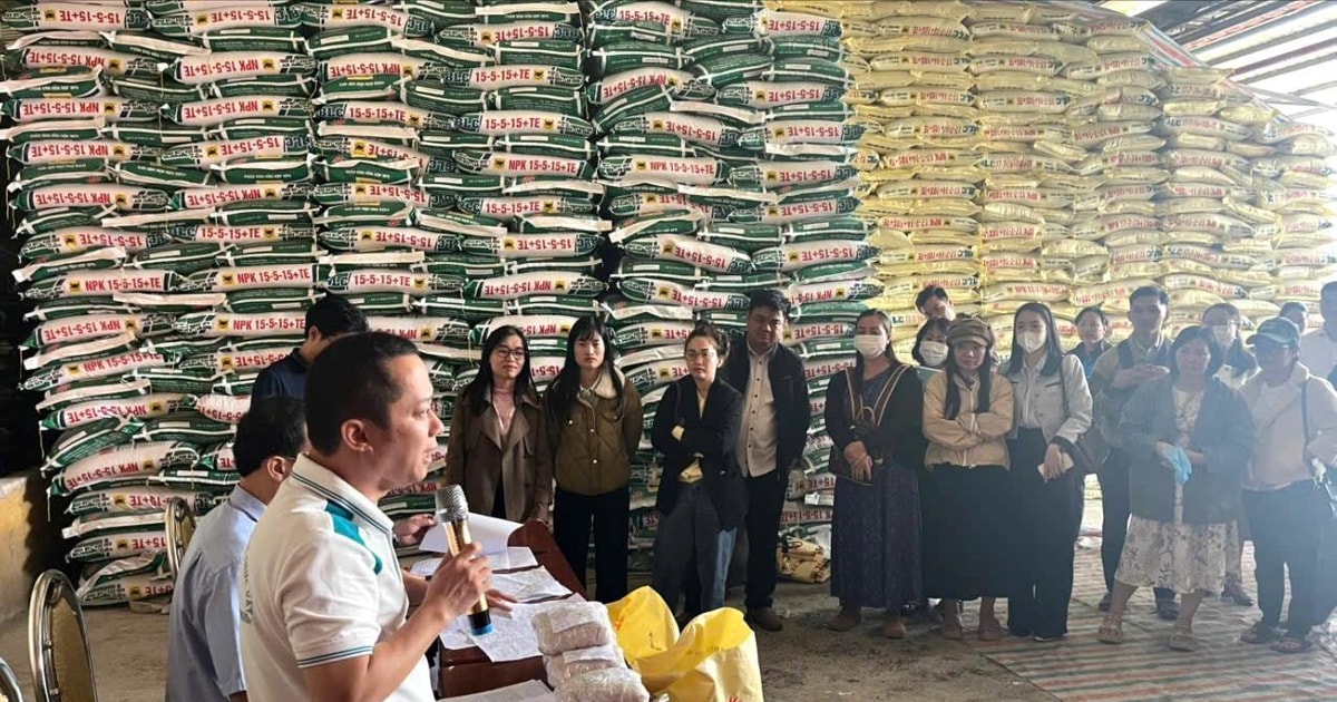 Nâng cao hiệu quả quản lý vật tư nông nghiệp