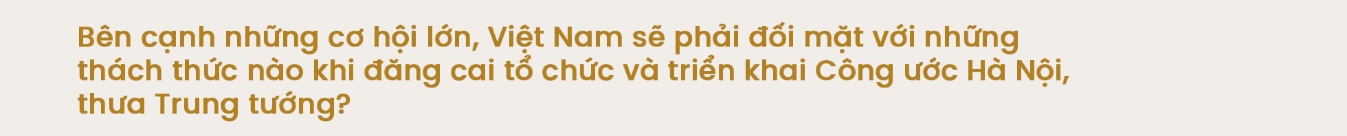 Công ước Hà Nội: Bước đi chiến lược khẳng định vị thế Việt Nam - 11
