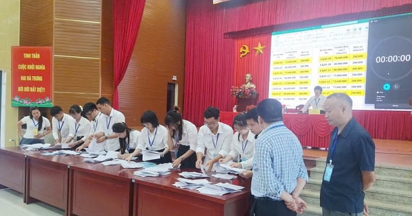 15 thửa đất tại xã Hát Môn được đấu giá thành công với giá cao nhất 117 triệu đồng/m²