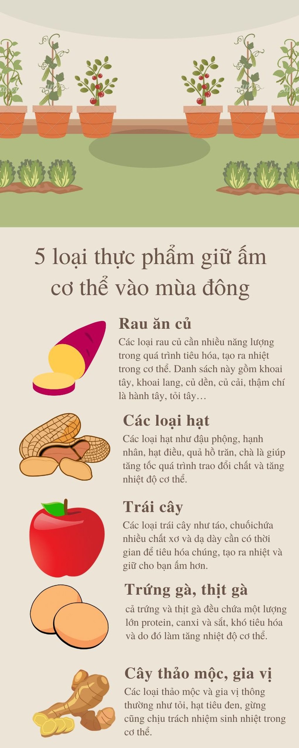 Trà gừng chanh - “liều thuốc” tự nhiên giúp cơ thể khỏe mạnh trong mùa lạnh - 2