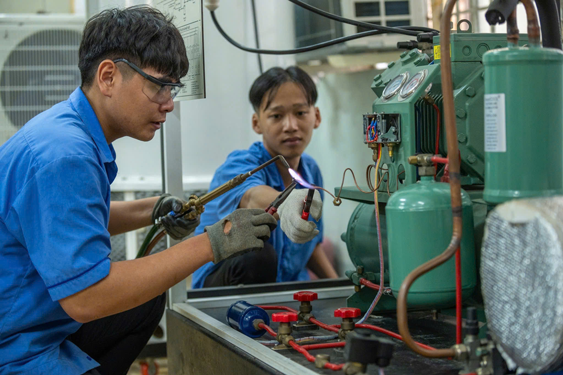 Añadir rutas de aprendizaje paralelas e iguales – Vietnam.vn
