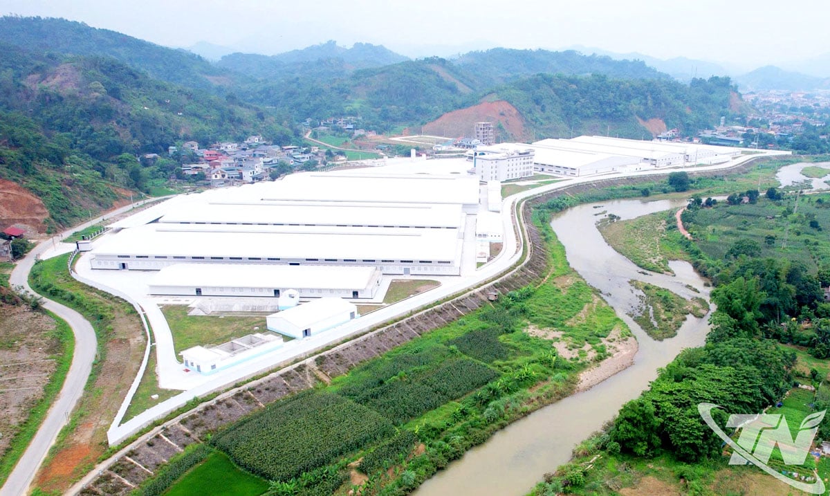 Chung Jye Bac Kan - Vietnam Shoe Manufacturing Co., Ltd. mempunyai kapasiti 10 juta pasang kasut/tahun, menarik kira-kira 5,000 pekerja tempatan, beroperasi di Huyen Tung Industrial Cluster (Duc Xuan Ward).