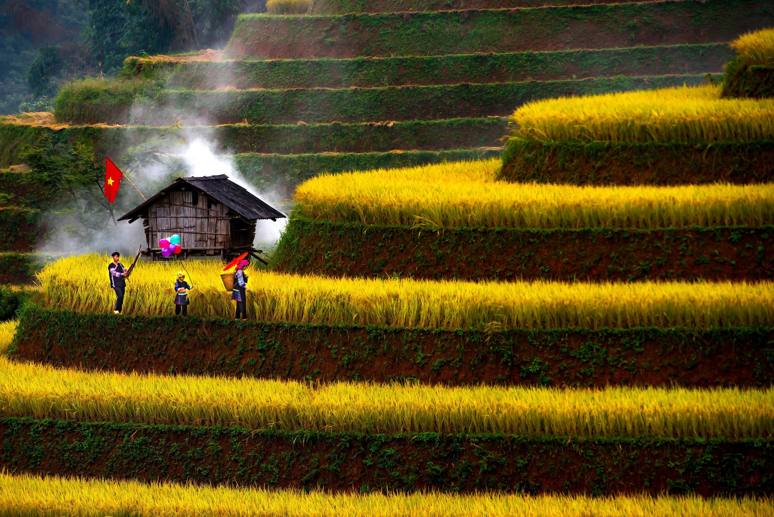 O imagine sfâșietor de frumoasă a sezonului de orez copt în Mu Cang Chai - Fotografia 2.