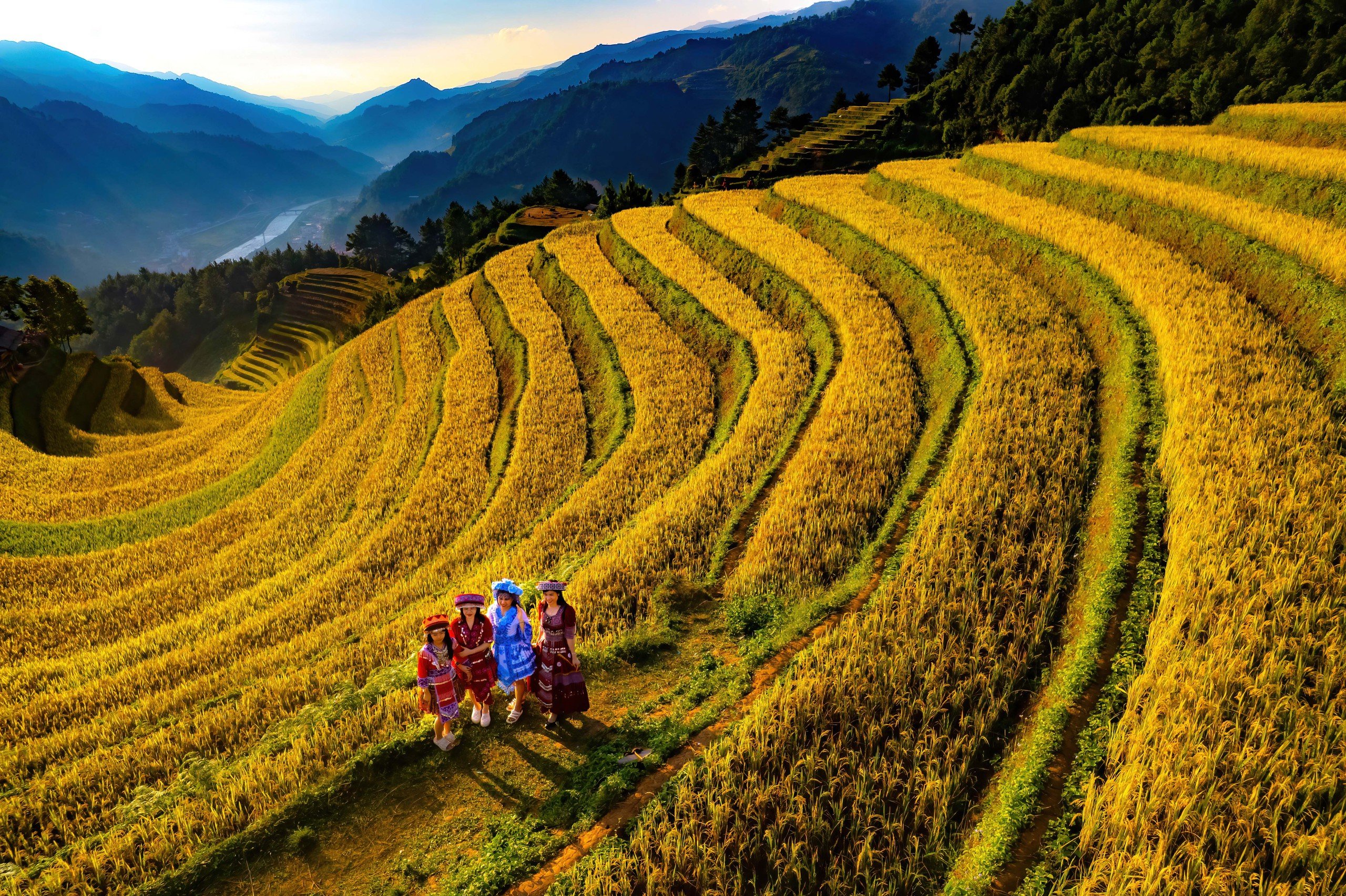 O imagine sfâșietor de frumoasă a sezonului de orez copt în Mu Cang Chai - Fotografia 6.