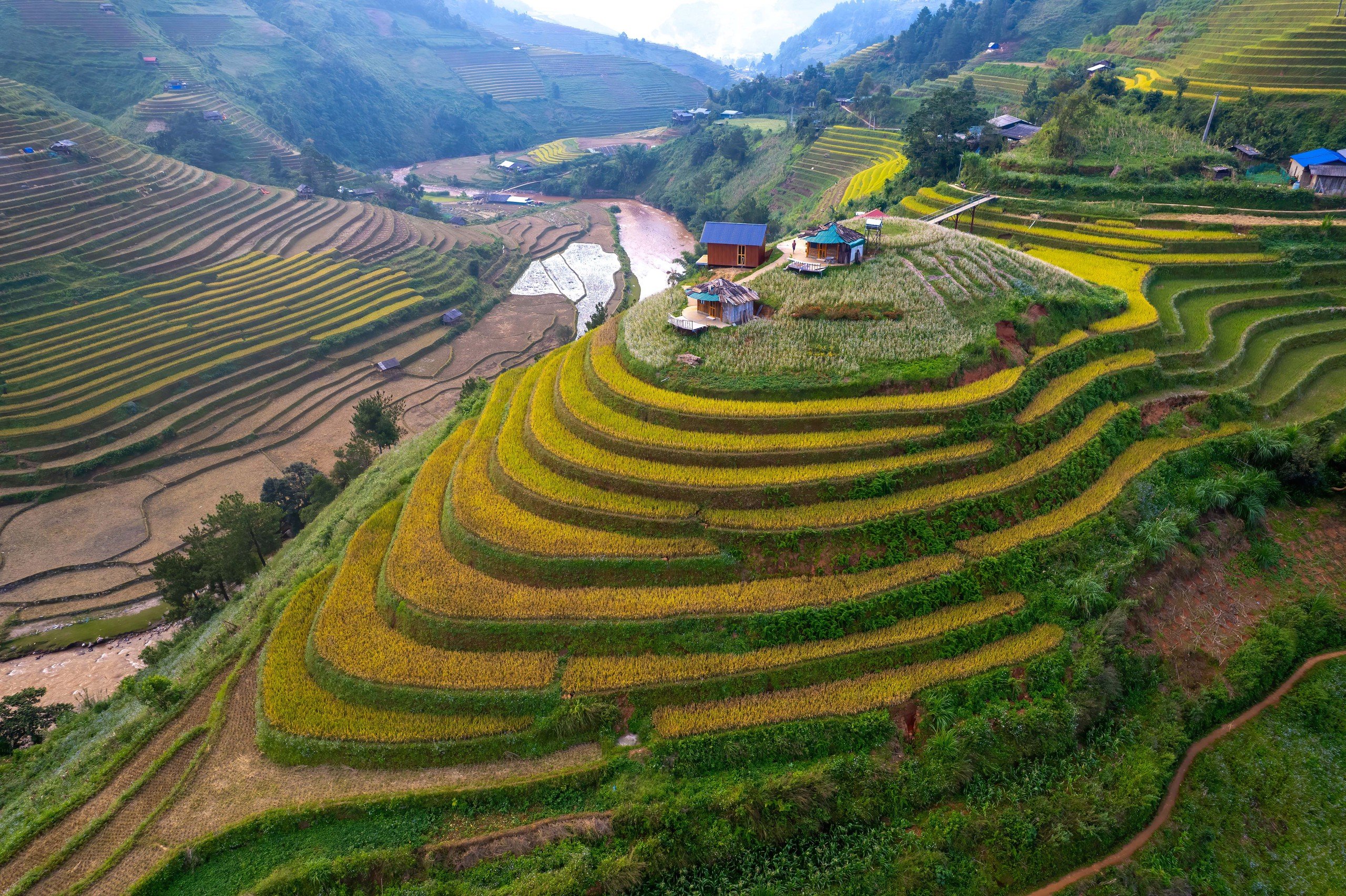 O imagine sfâșietor de frumoasă a sezonului de orez copt în Mu Cang Chai - Fotografia 8.