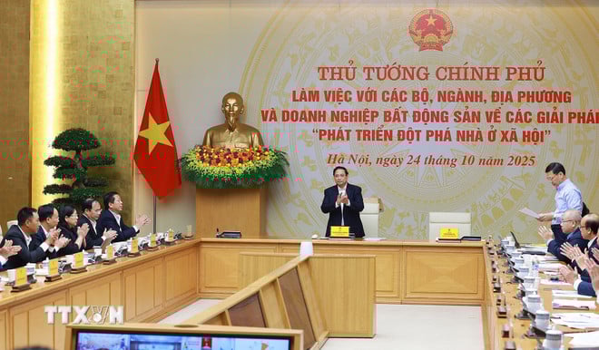 ttxvn-thu-tuong-lam-viec-ve-cac-giai-phap-phat-trien-dot-pha-nha-o-xa-hoi-8358804-3.jpg