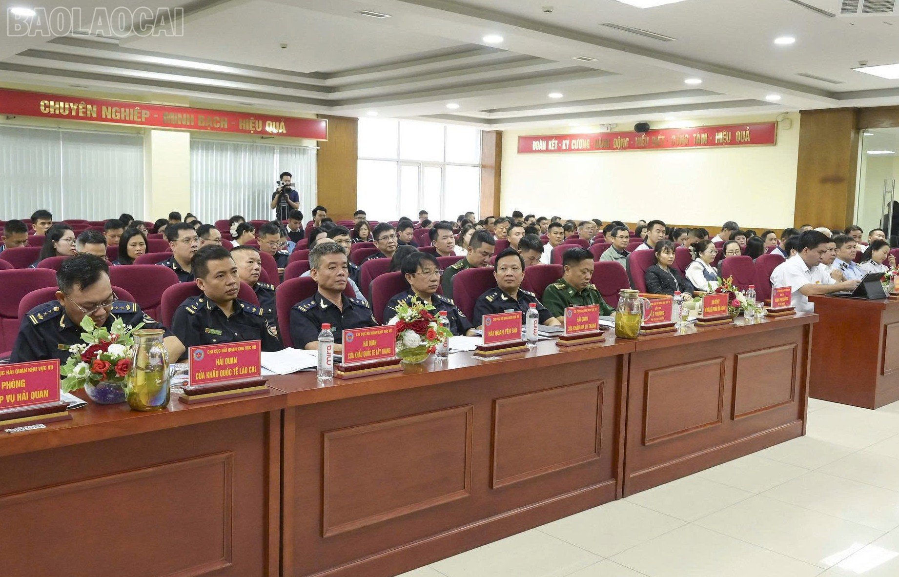baolaocai-tl_z7149956061231-cfab444a21510c910816256b6614e737.jpg