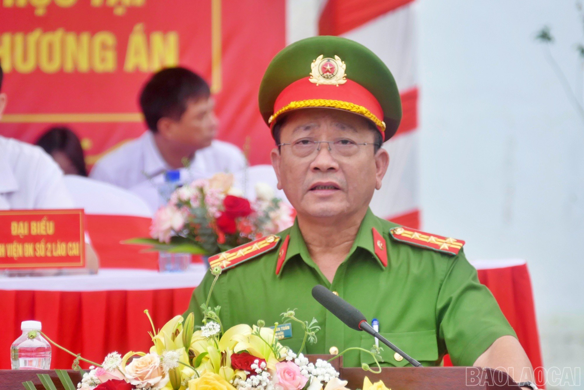 baolaocai-br_pc94.jpg