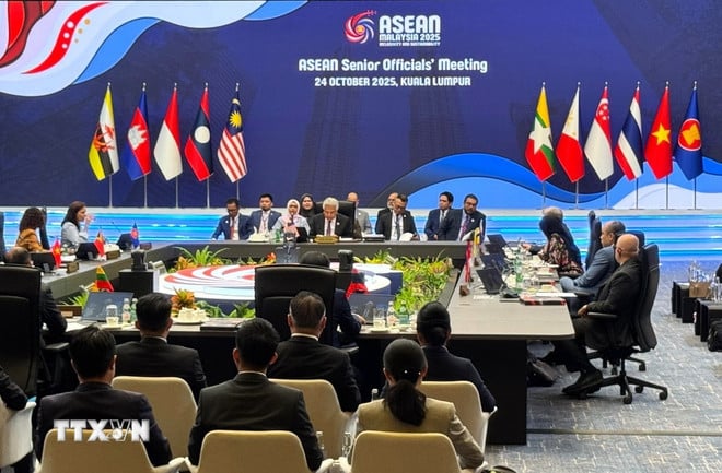 ttxvn-2410-asean-2.jpg