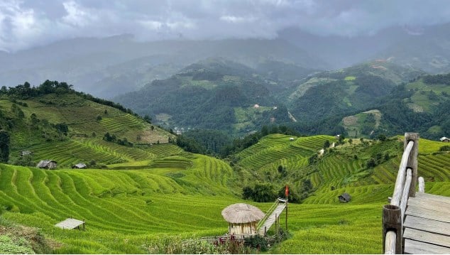 Du lịch nghỉ dưỡng: Hài hòa bảo tồn với khuyến khích đầu tư - Ảnh 1.