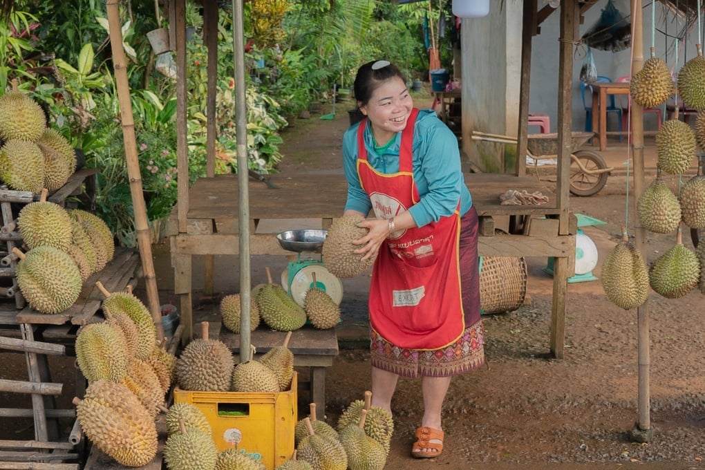 Sầu riêng Lào có lợi thế lớn tại Trung Quốc nhờ đường sắt xuyên quốc gia - 1