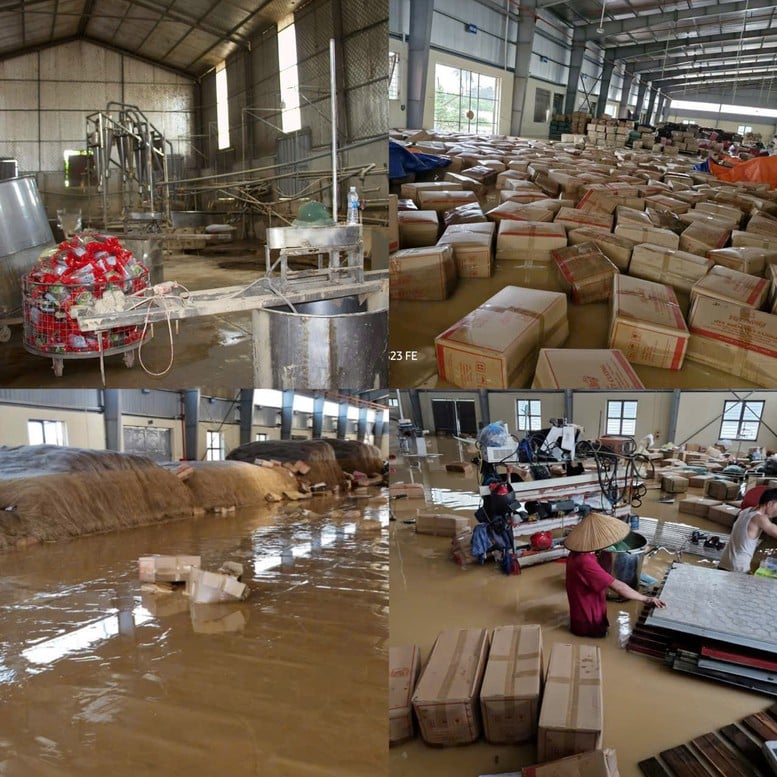Khi ngân hàng trở thành “phao cứu sinh” giữa dòng nước lũ- Ảnh 1.
