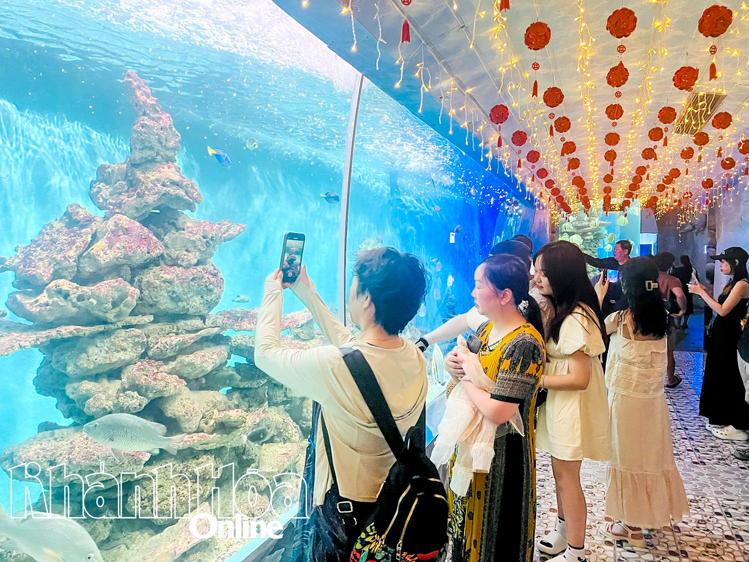 中国人観光客が海洋博物館を訪問。