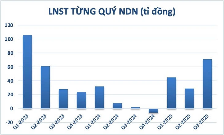 Công ty Phát triển Nhà Đà Nẵng lãi tăng vọt nhờ chốt lời cổ phiếu Vinhomes - Ảnh 2.
