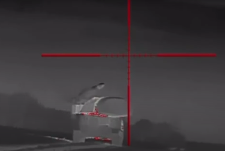 2-7773.png