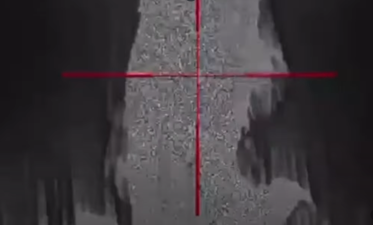 5-9149.png