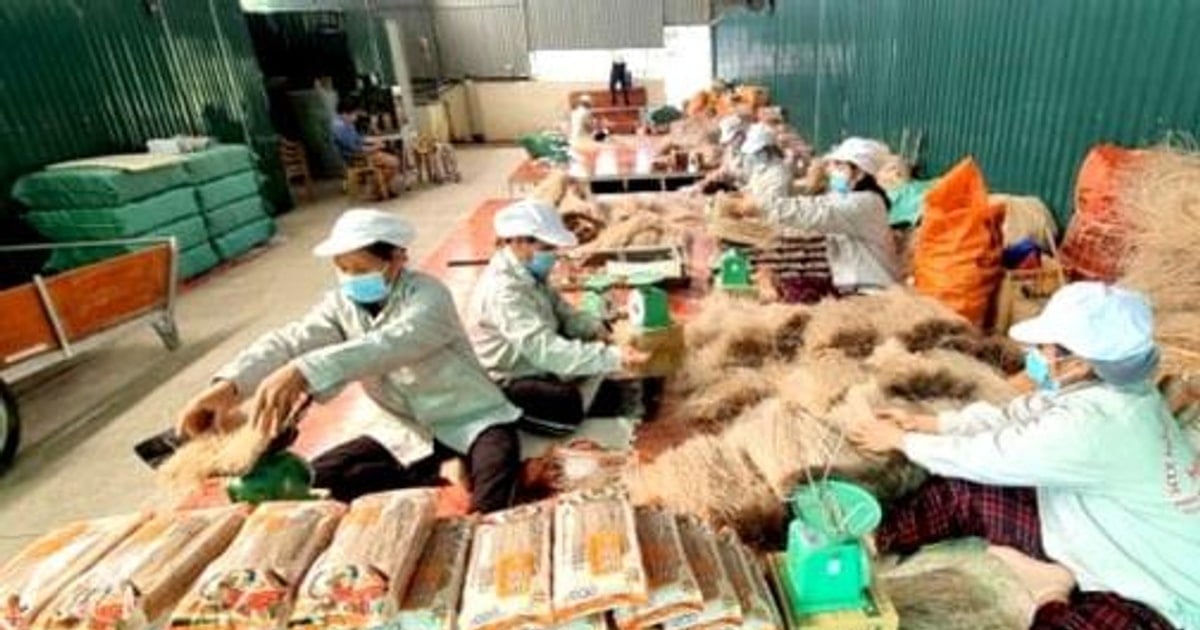 La promoción industrial de la región sur impulsa la innovación y el desarrollo sostenible. Se propone agilizar el proceso de aprobación y desembolso de capital para la promoción industrial. – Vietnam.vn La promoción industrial de la región sur impulsa la innovación y el desarrollo sostenible. Se propone agilizar el proceso de aprobación y desembolso de capital para la promoción industrial. – Vietnam.vn