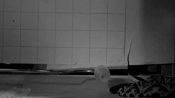 puac6fddbtw3xlem38i5mh.gif