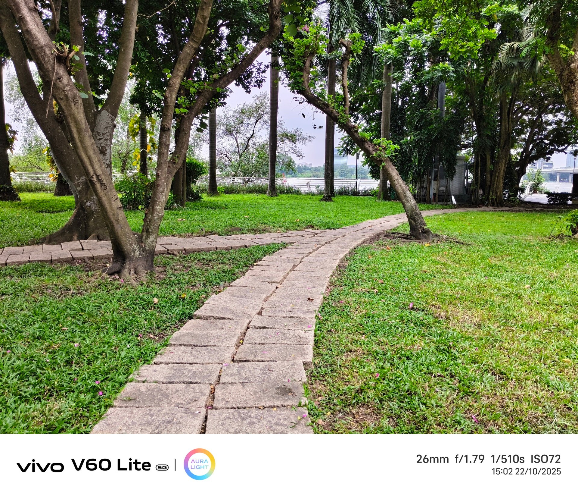 Đánh giá vivo V60 Lite 5G: Hiệu suất tốt, pin khỏe, camera còn hạn chế - 14