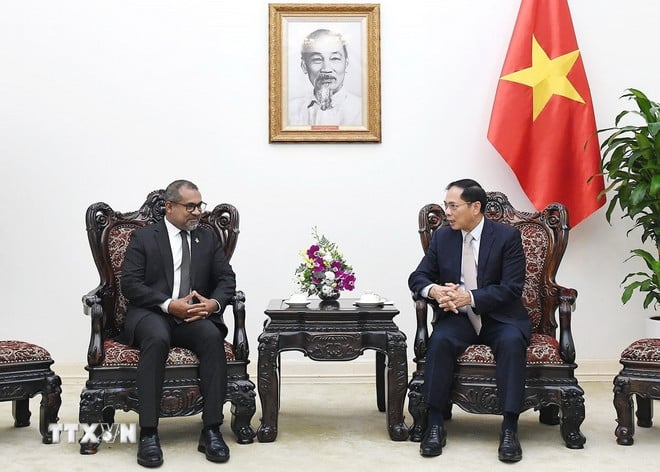 ttxvn-pho-thu-tuong-bui-thanh-son-tiep-bo-truong-ngoai-giao-maldives2.jpg