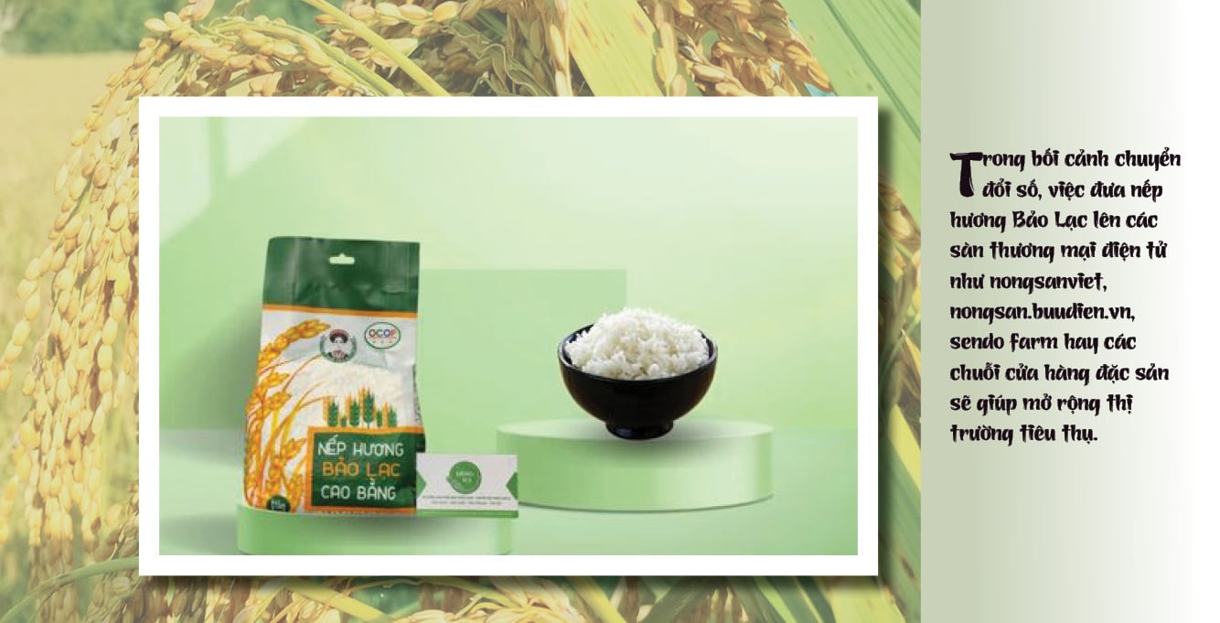 Formato largo | Arroz glutinoso aromático Bao Lac: el 