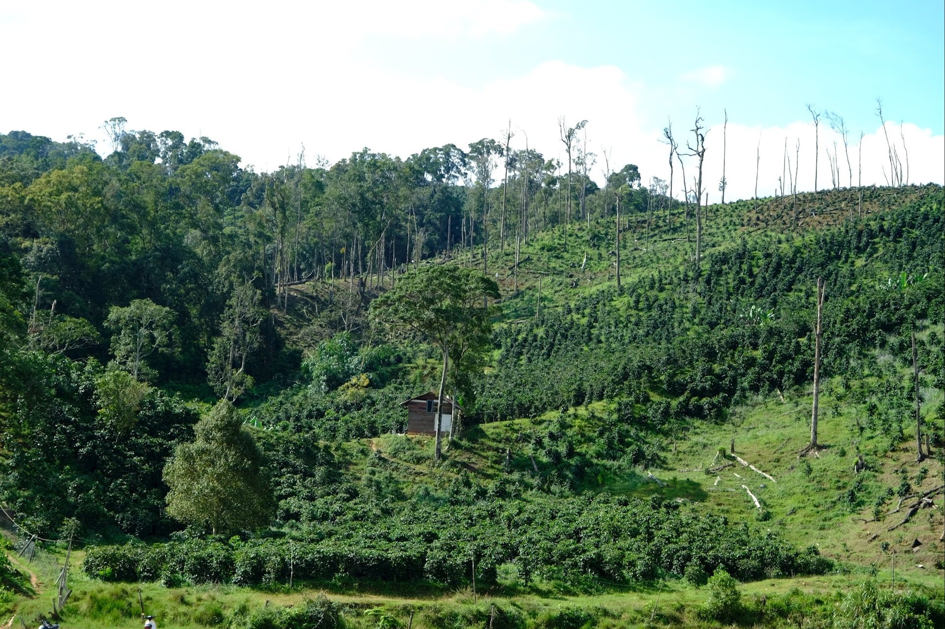 dscf3238.jpg
