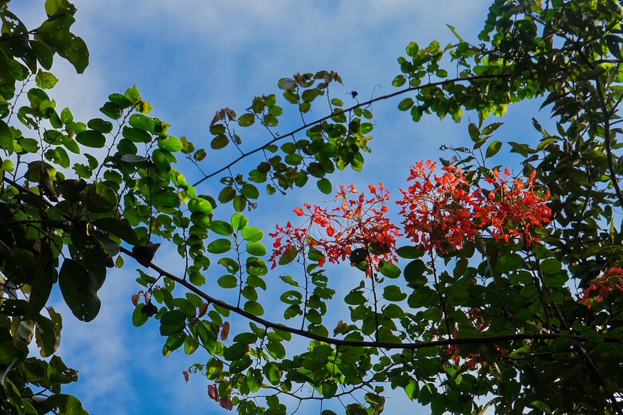 dscf9634.jpg