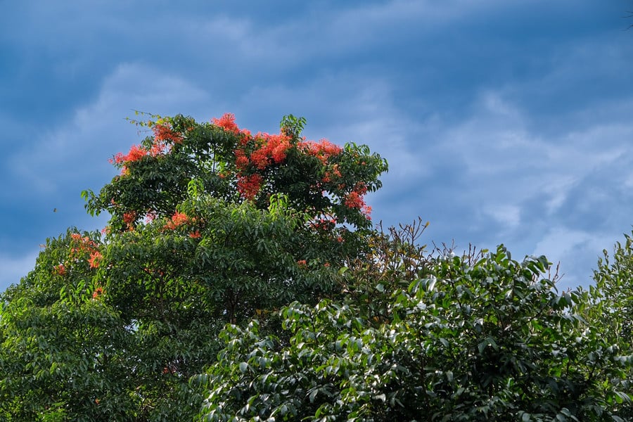 dscf9635.jpg
