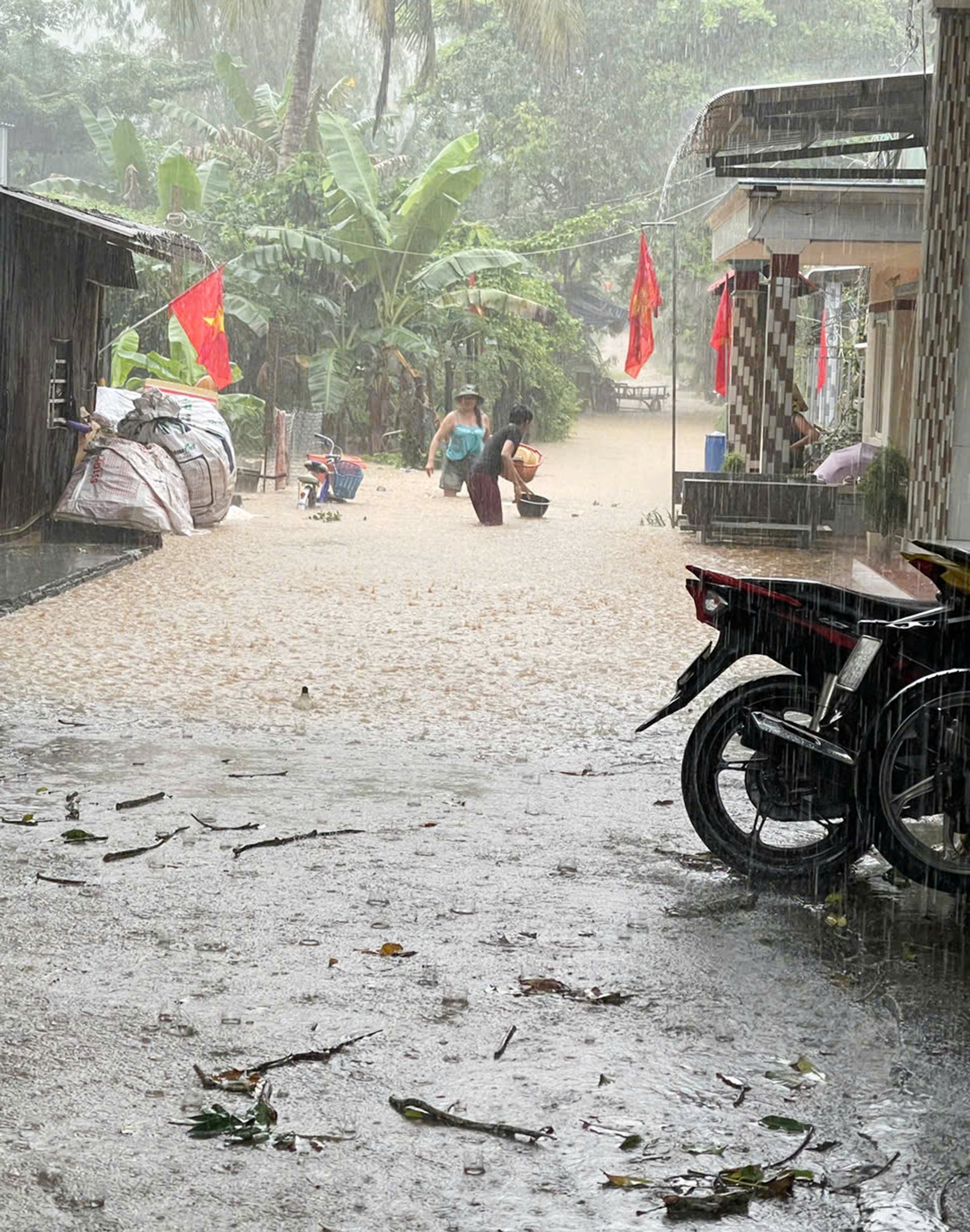 Đặc khu Thổ Châu: Mưa lớn kéo dài, ấp Bãi Ngự ngập sâu