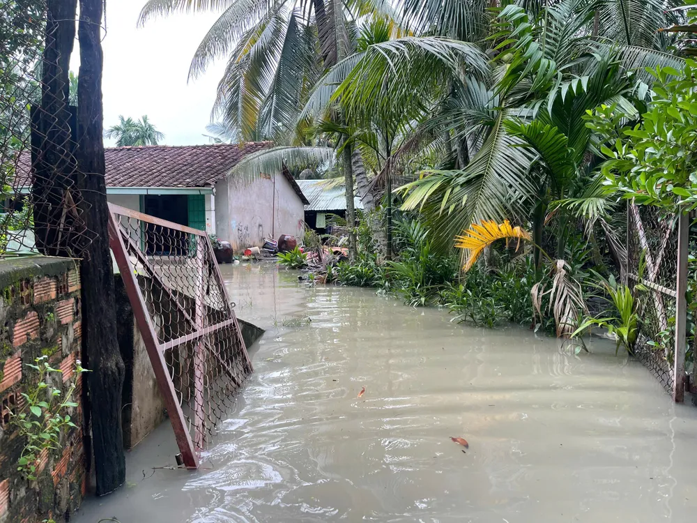 high tide 26.jpg