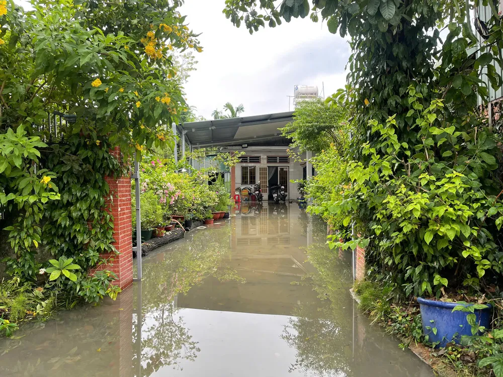 high tide 13.jpg