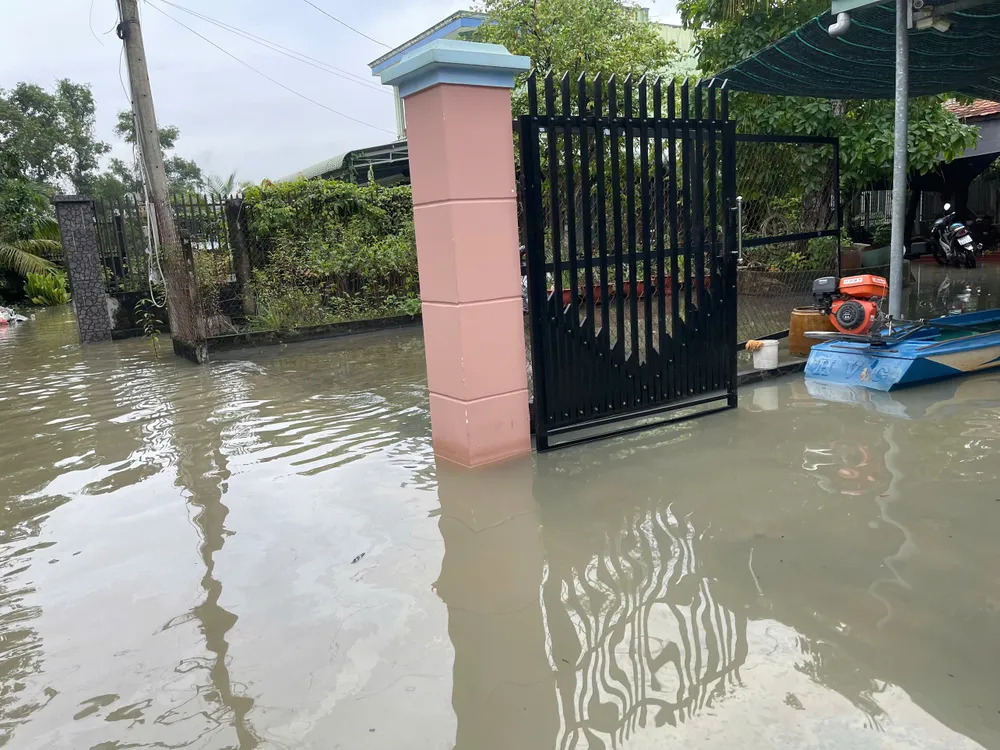 high tide 14.jpg