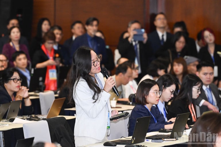 ndo_br_d937ec8d95c388.jpg