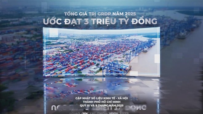 Để TP. Hồ Chí Minh giữ vững vị thế đầu tàu kinh tế của cả nước - Ảnh 9.